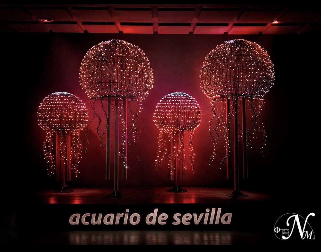 La exposición precisa